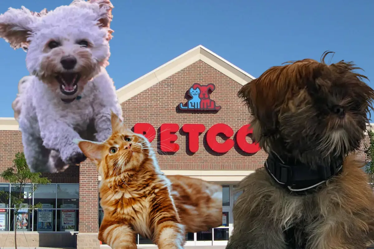 Descubre los detalles de la apertura de Petco en Victoria y qué productos ofrecerá. ¡No te lo pierdas!