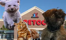 Habrá Petco en Ciudad Victoria, ¿Qué se sabe?