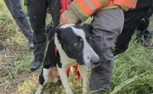 Protección Civil Guadalupe rescata a perrito que cayó en noria