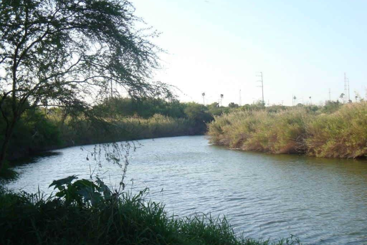 imagen-cuerpo imagen-cuerpo