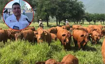 Preocupa a Tamaulipas la posible propagación del gusano barrenador en ganado Preocupa a Tamaulipas la posible propagación del gusano barrenador en ganado