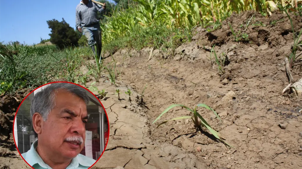 Productores del norte de Tamaulipas enfrentan retraso en la preparación de tierras