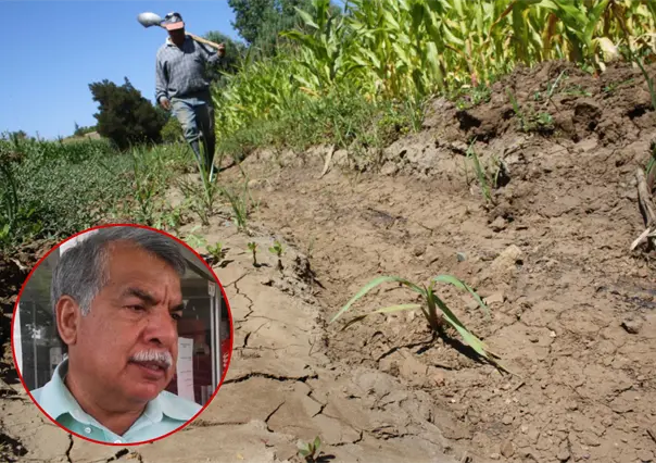 Productores del norte de Tamaulipas enfrentan retraso en la preparación de tierras