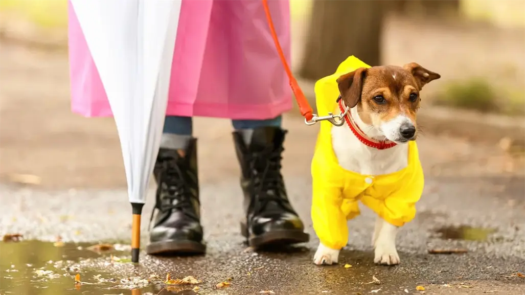 ¿Vuelven las lluvias? Este es el pronóstico del clima en Durango para este lunes 6 de octubre