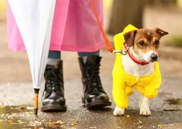 ¿Vuelven las lluvias? Este es el pronóstico del clima en Durango para este lunes 6 de octubre