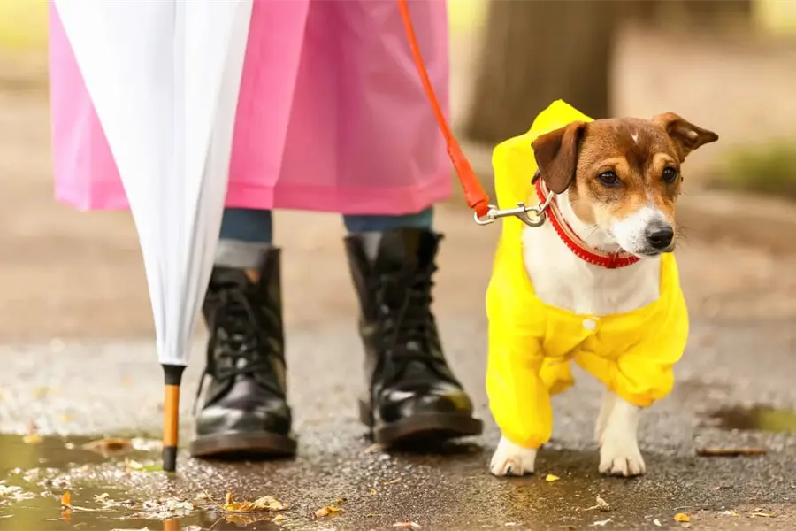 ¿Vuelven las lluvias? Este es el pronóstico del clima en Durango para este lunes 6 de octubre