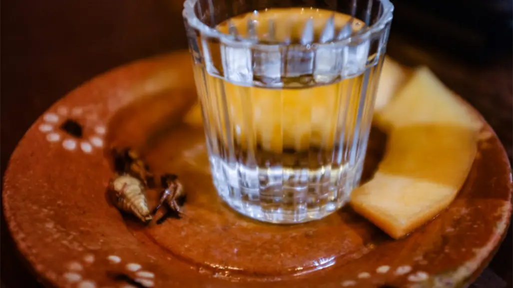Mezcalfest MX otoño 2025 reunirá maestros mezcaleros, cocineras y más en este lugar de CDMX