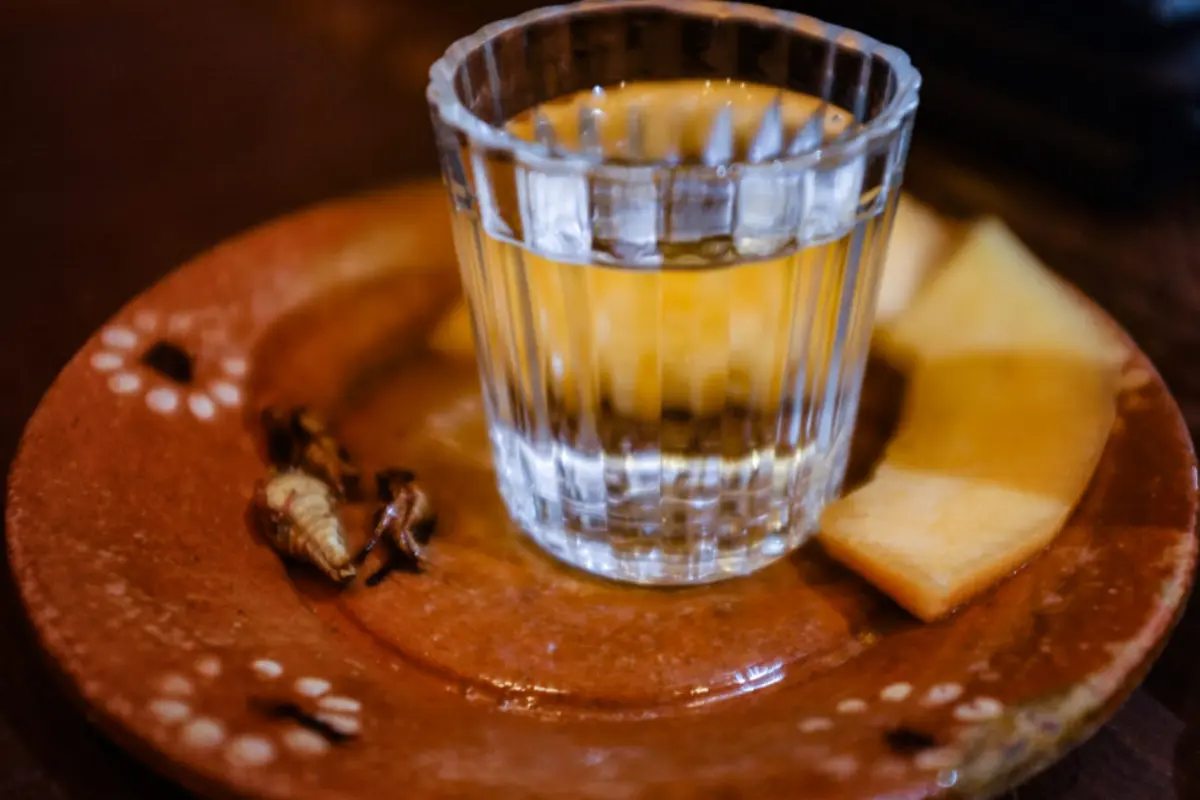 Mezcalfest en CDMX. Foto: gq.com.mx | Canva