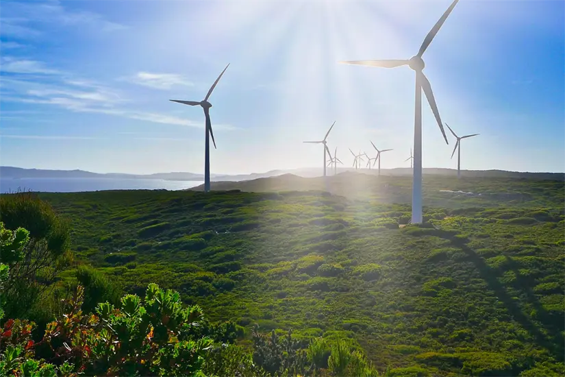 Tamaulipas se perfila como líder en la transición energética nacional. Foto: Freepik ?