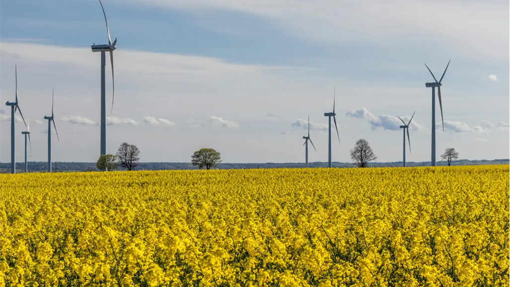 Tamaulipas busca consolidarse como el principal estado energético de México