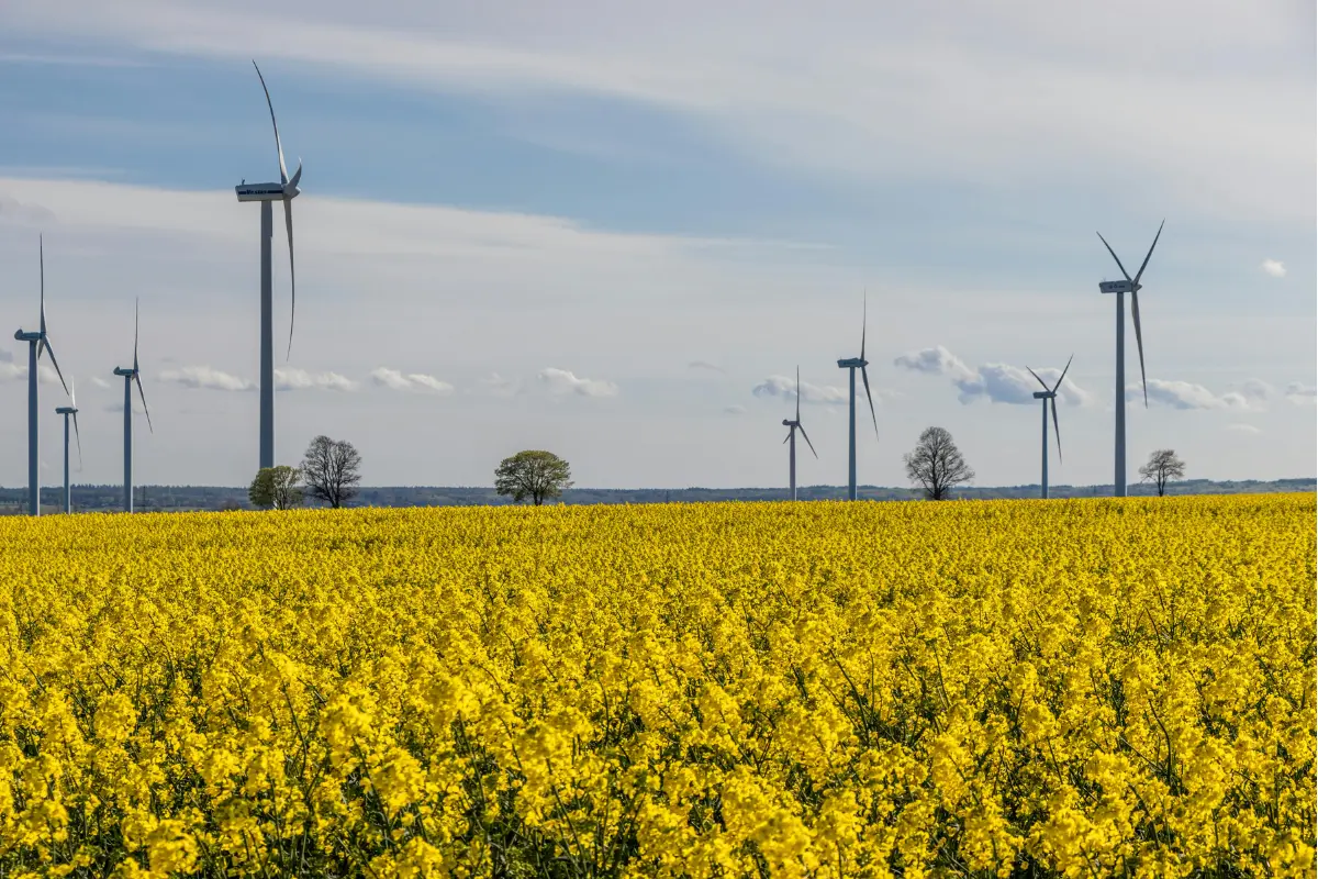 Tamaulipas busca liderar la industria energética en México. Foto: Freepik