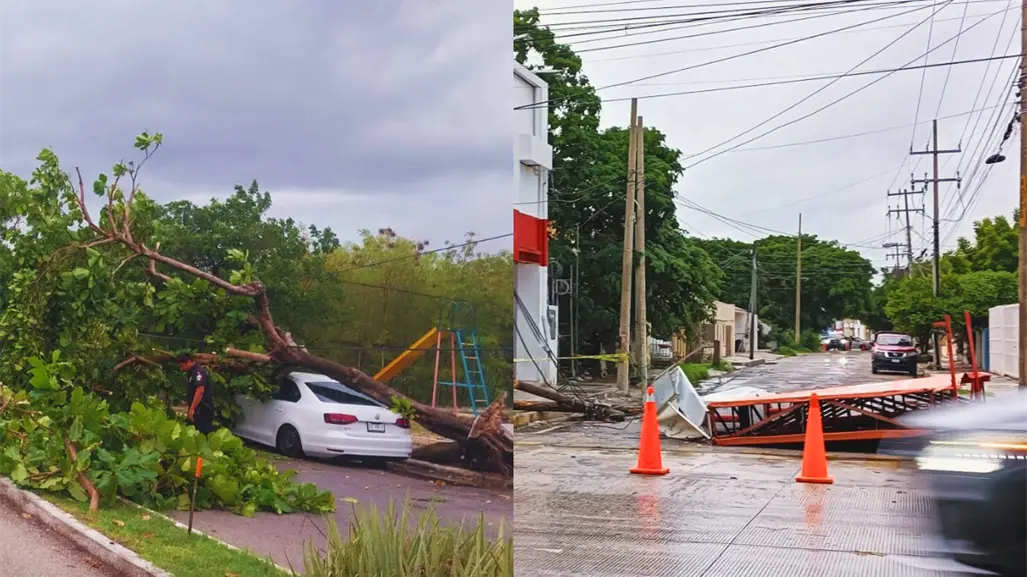 Entre árboles, postes y letreros caídos: fuertes vientos causan estragos en Mérida