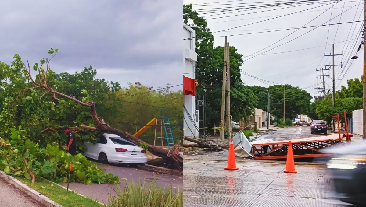 Se puede reportar árboles, postes o letreros caídos al 911 de la SSP Yucatán Foto: SSP Yucatán