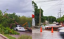 Entre árboles, postes y letreros caídos: fuertes vientos causan estragos en Mérida Entre árboles, postes y letreros caídos: fuertes vientos causan estragos en Mérida