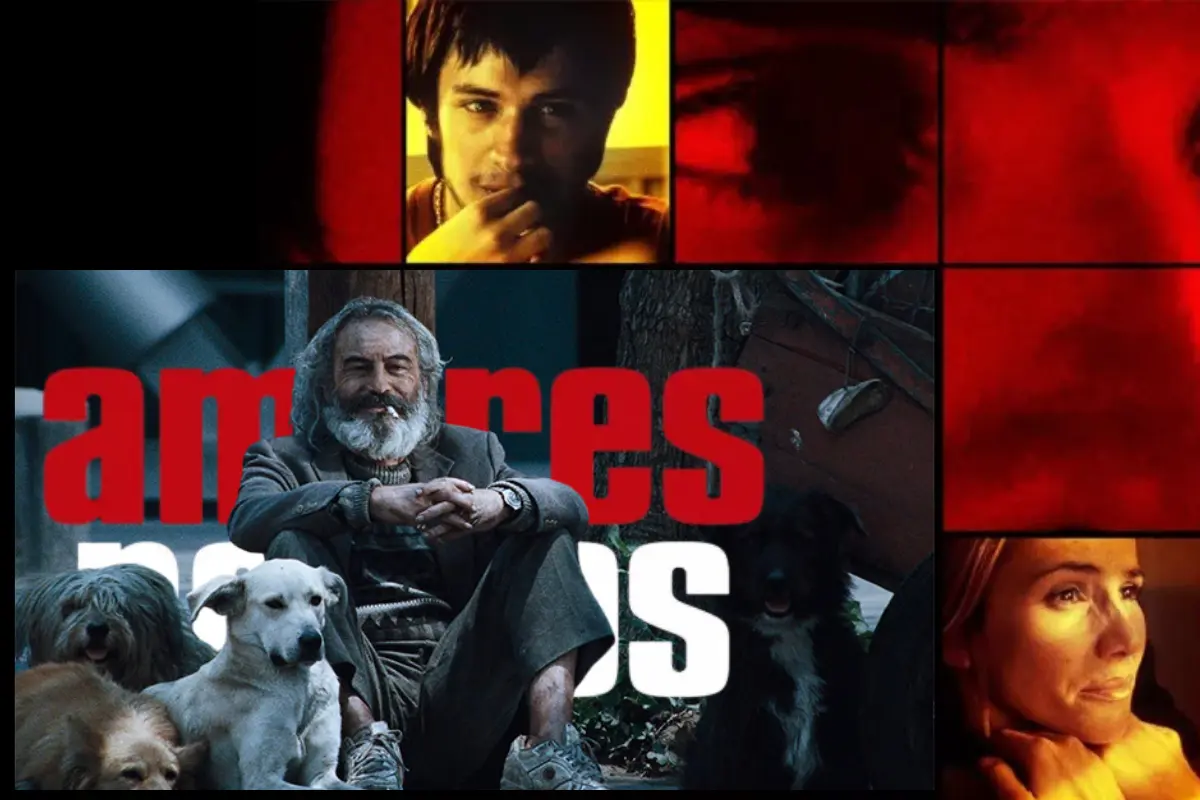 Amores Perros celebra su 25 aniversario (Foto: Web, netflix.com/mx/title/60020243 / Canva)