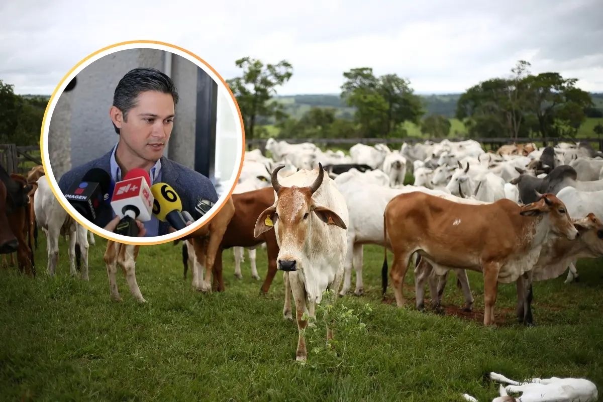 Armando Víctor Gutiérrez, presidente del Comité Estatal de Fomento y Protección Pecuaria. Foto: Composición Canva