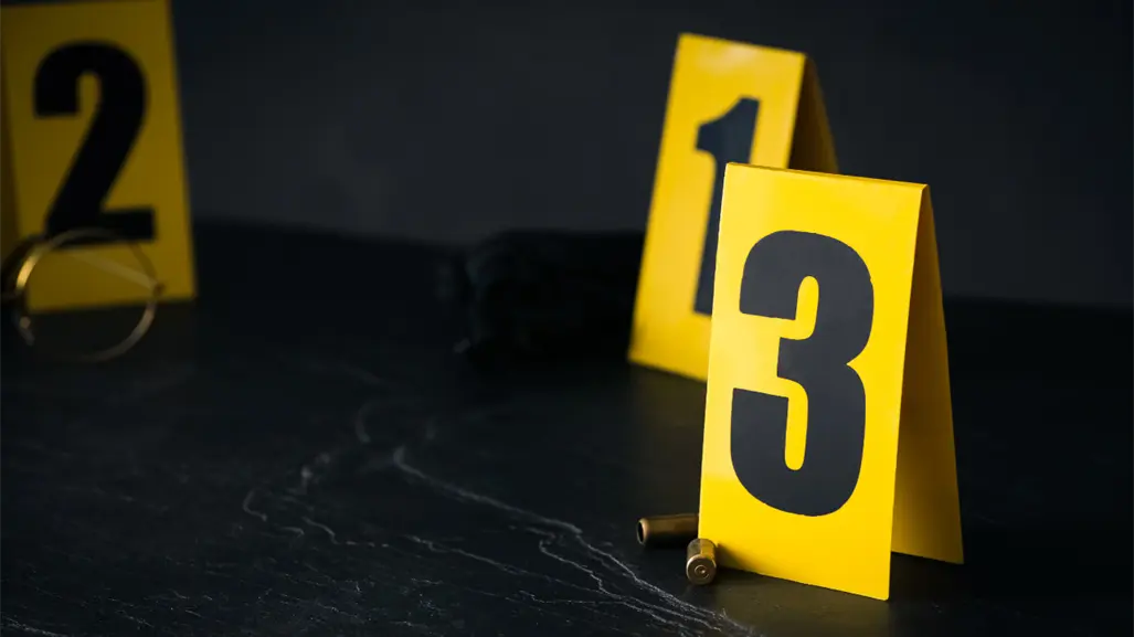 Homicidios bajan 32% a un año del gobierno de Sheinbaum, destaca gobierno federal