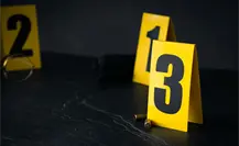 Homicidios bajan 32% a un año del gobierno de Sheinbaum, destaca gobierno federal
