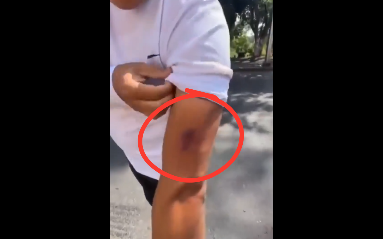 imagen-cuerpo imagen-cuerpo