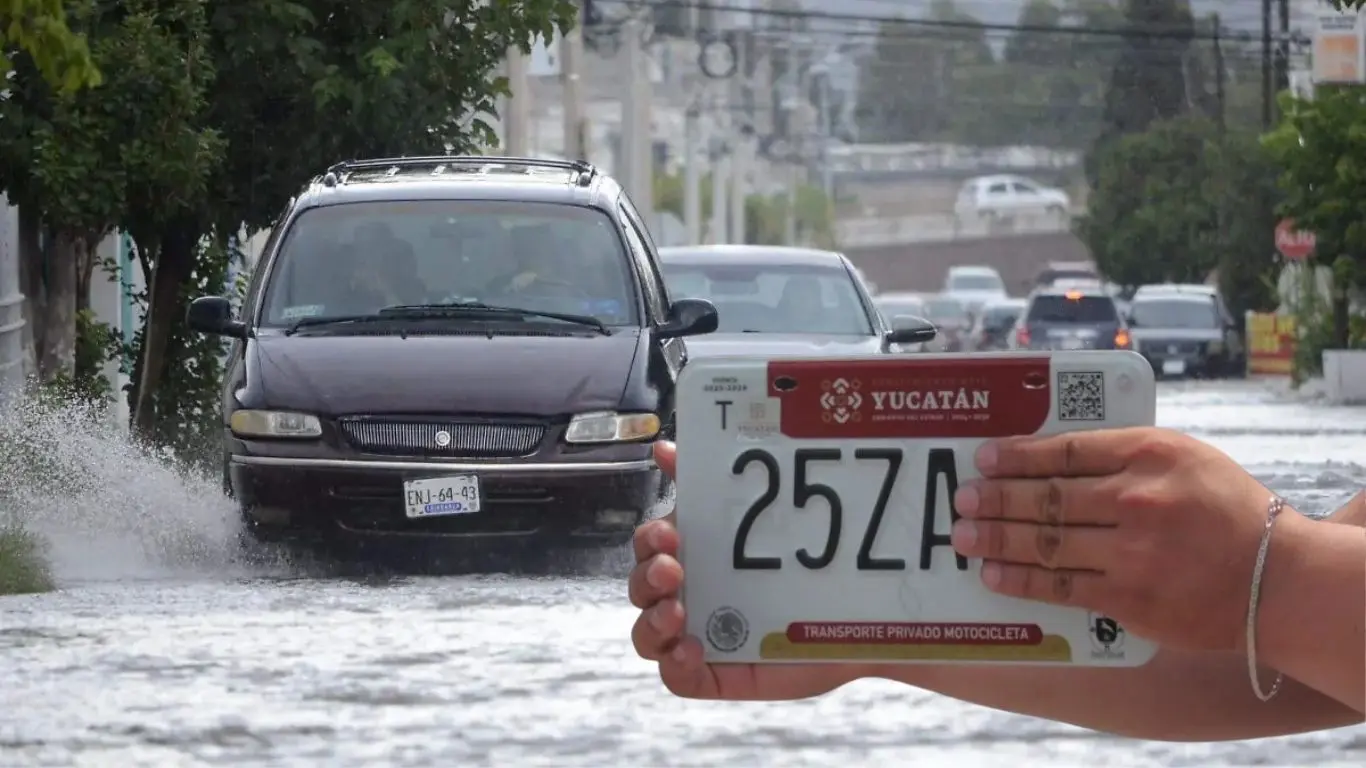 ¿Dónde debo reportar el extravío de mi placa?. Foto: Canva