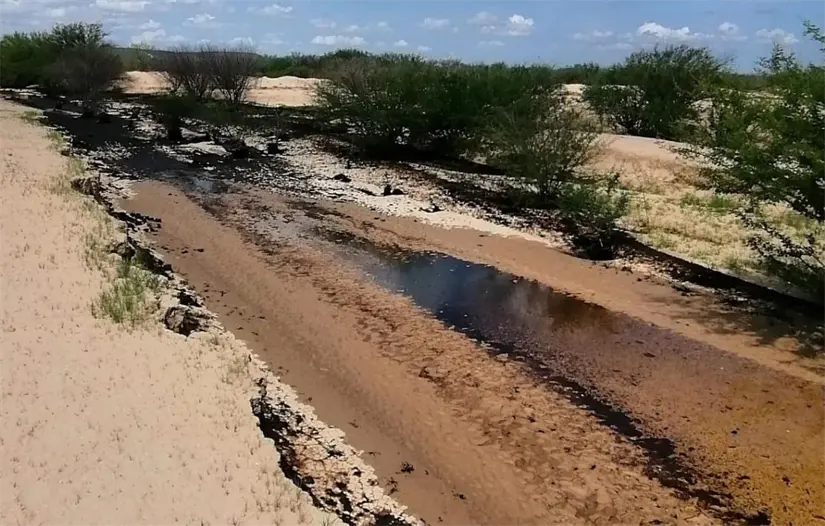 Foto: Gobierno de Baja California Sur
