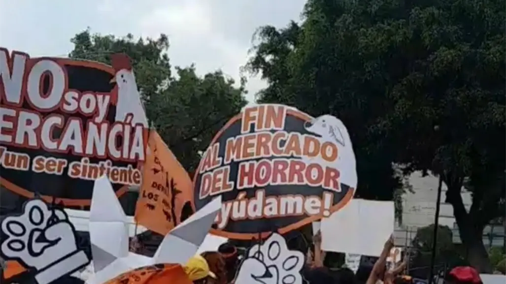 Defensores de animales exigen poner fin a la venta ilegal en el mercado de Sonora