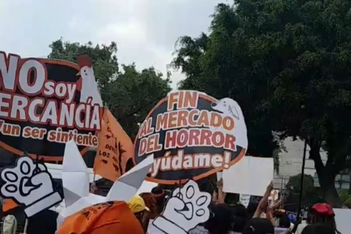 Protesta en el Mercado de Sonora. Foto: Iván Macías
