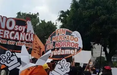 Defensores de animales exigen poner fin a la venta ilegal en el mercado de Sonora