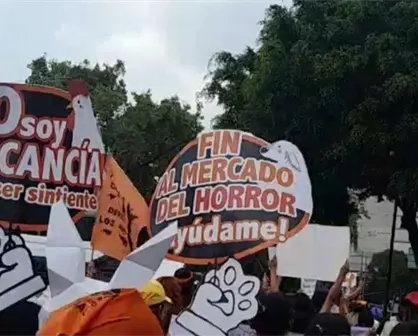 Defensores de animales exigen poner fin a la venta ilegal en el mercado de Sonora