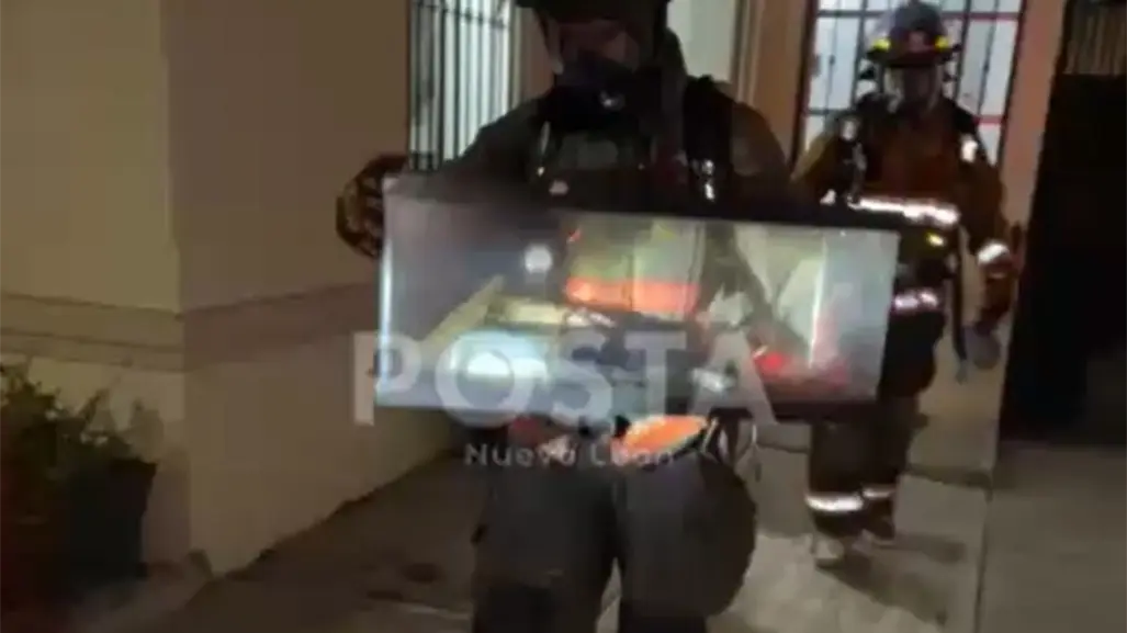 VIDEO | Así fue el rescate de mascotas tras un derrame de químico en Guadalupe