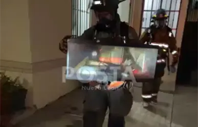 VIDEO | Así fue el rescate de mascotas tras un derrame de químico en Guadalupe