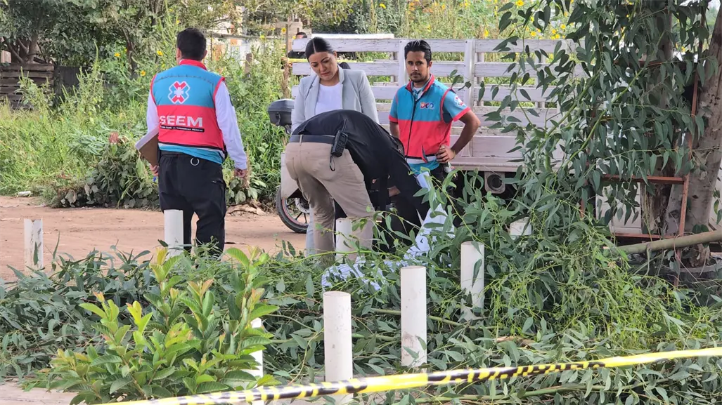Hombre muere al caer mientras podaba un árbol en la colonia José Ángel Leal