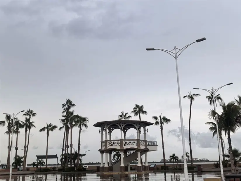 Foto: Rocío Casas / POSTA Baja California Sur.