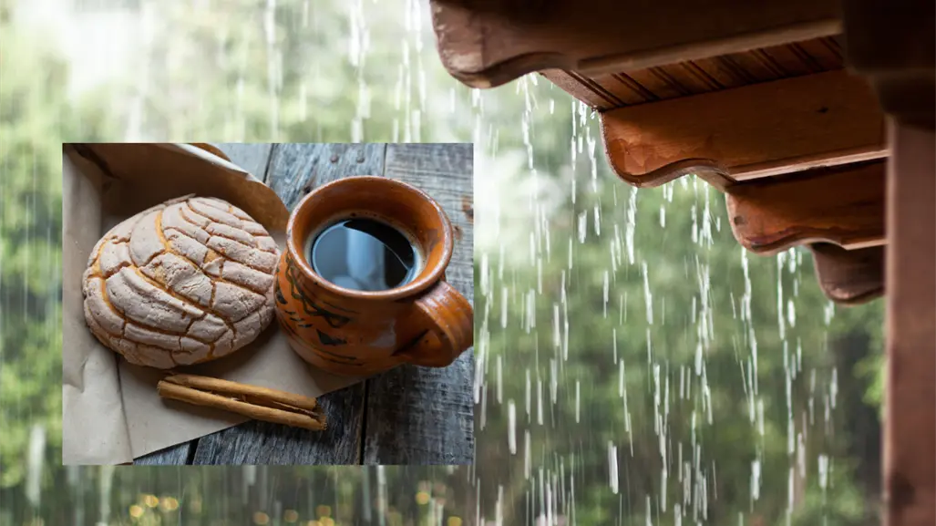 ¿Por qué en Baja California Sur padecemos antojos de pan cada vez que llueve, según la ciencia?