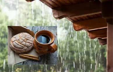 ¿Por qué en Baja California Sur padecemos antojos de pan cada vez que llueve, según la ciencia?
