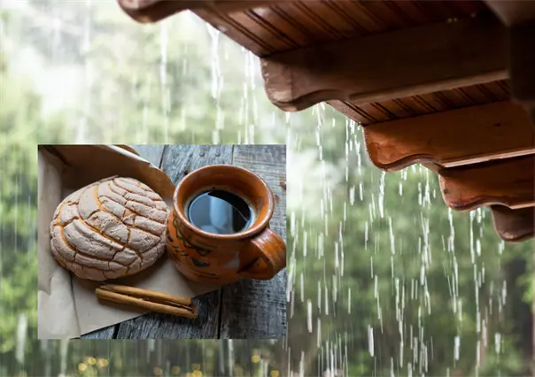 ¿Por qué en Baja California Sur padecemos antojos de pan cada vez que llueve, según la ciencia?