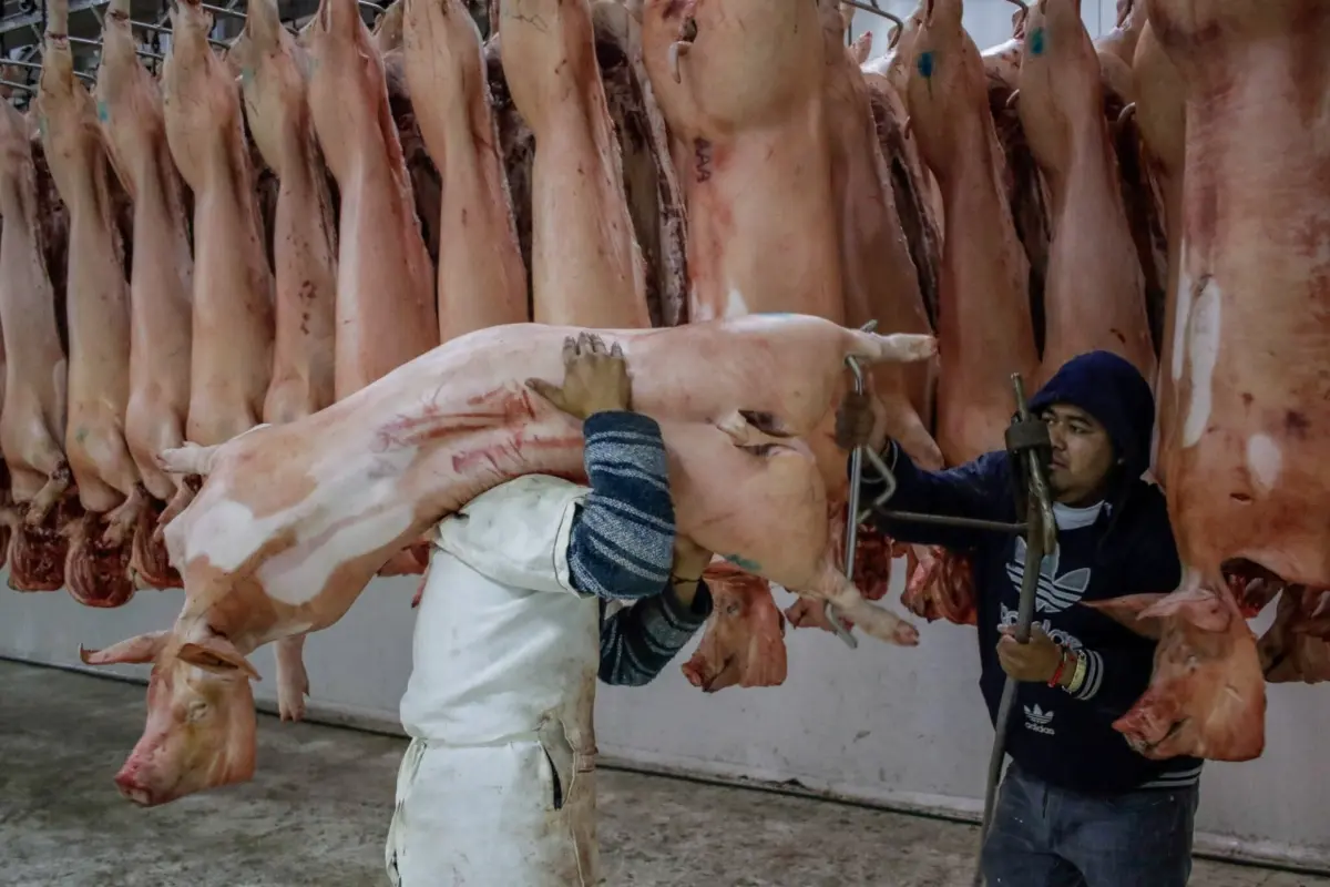 La carne fue retirada de los locales Foto: Jafet Moz