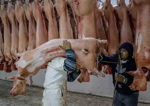 Detectan que Soriana y Aurrerá vendían carne caduca en Puebla; retiran más de 90 kg