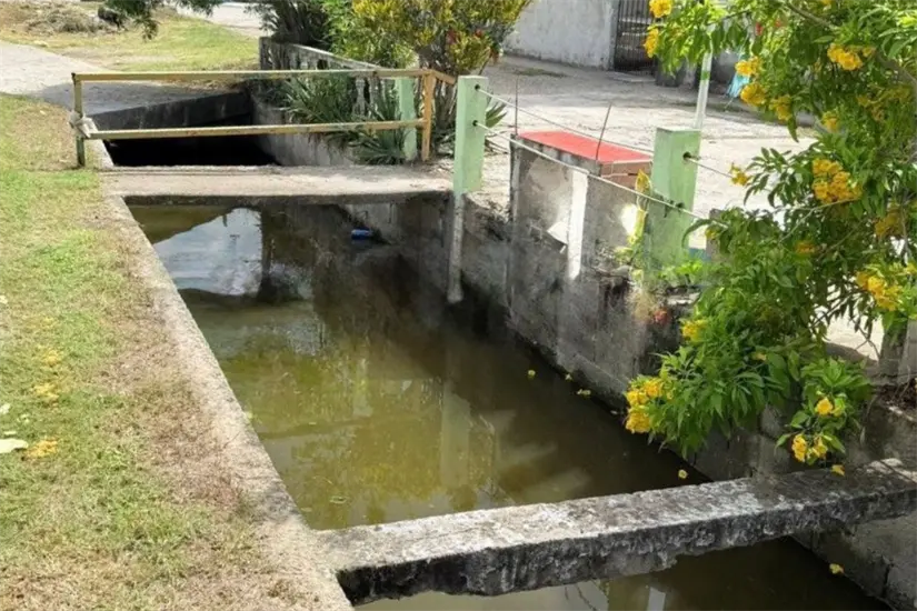 El canal donde habita el cocodrilo en Madero | Foto: Axel Hassel
