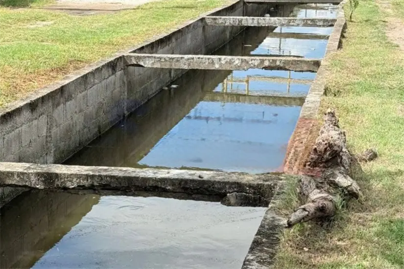 Vecinos piden protección para el canal ya que todos los habitantes corren peligro | Foto: Axel Hassel