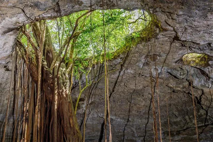 Foto: Turismo Tamaulipas