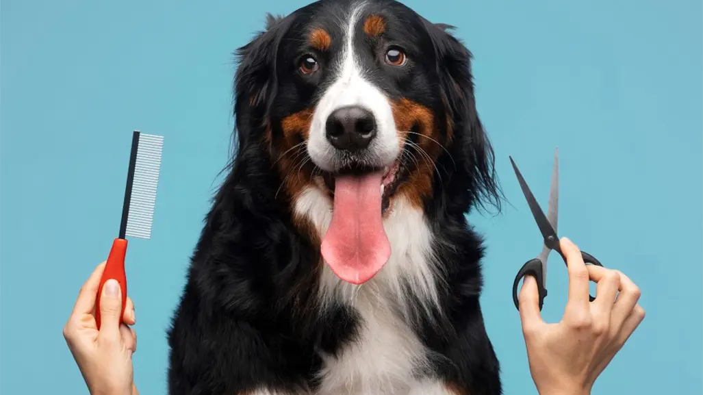 Estas estéticas caninas móviles destacan en Nuevo León