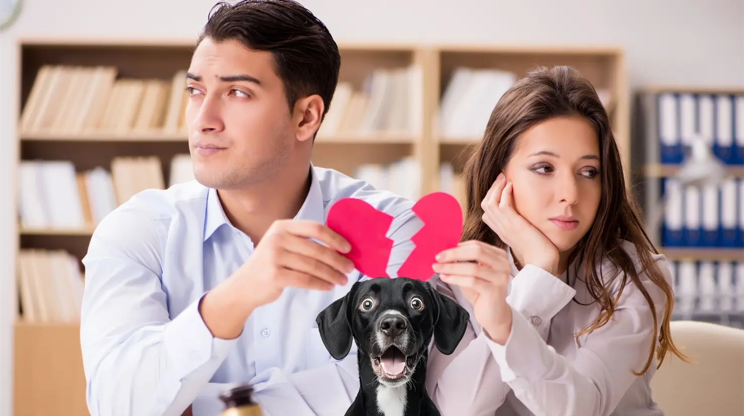 Muchas parejas tienen mascotas, que al momento de un divorcio pueden ser motivo de problemas. | Foto: Canva.