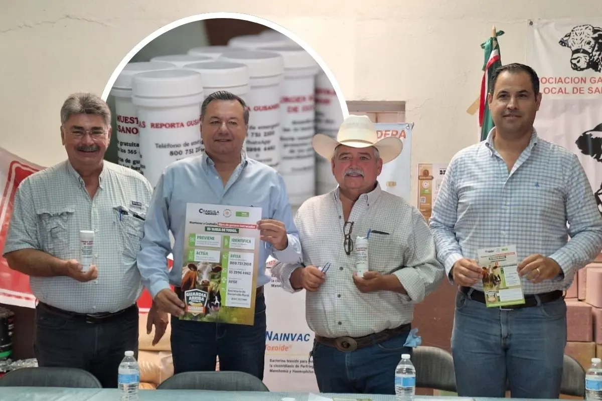 Nuevo caso de gusano barrenador en Nuevo León alerta a Coahuila / Foto: Jesús María Montemayor / Canva