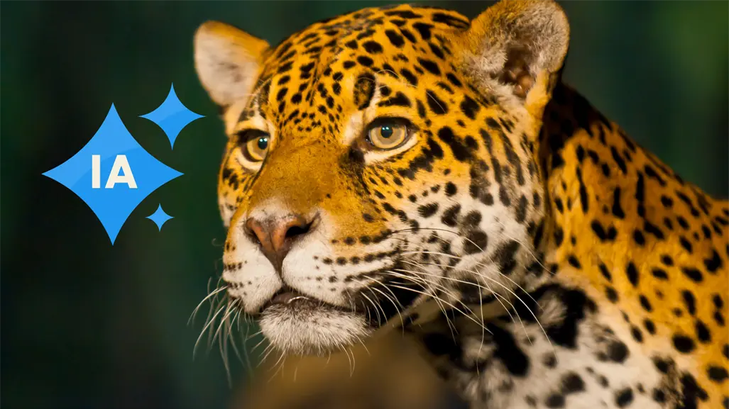 Supuesto jaguar de La Constancia, Nombre de Dios, es una imagen creada con IA, según la SEED