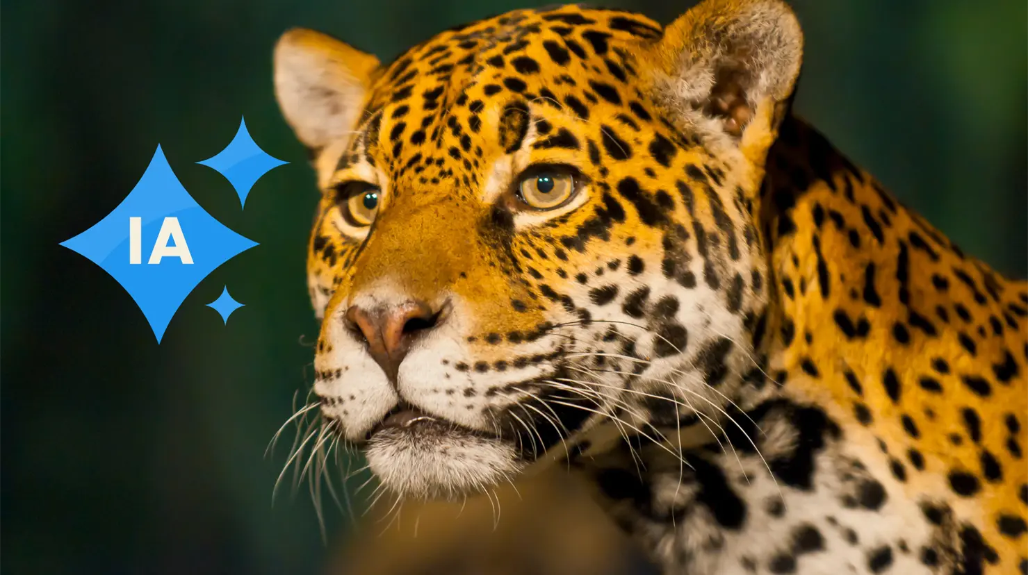 Desmienten la presencia de un jaguar en Nombre de Dios. Foto: Especial.