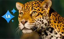 Supuesto jaguar de La Constancia, Nombre de Dios, es una imagen creada con IA, según la SEED