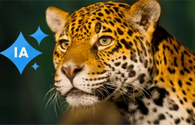 Supuesto jaguar de La Constancia, Nombre de Dios, es una imagen creada con IA, según la SEED