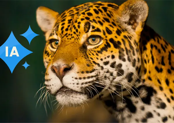 Supuesto jaguar de La Constancia, Nombre de Dios, es una imagen creada con IA, seg&uacute;n la SEED