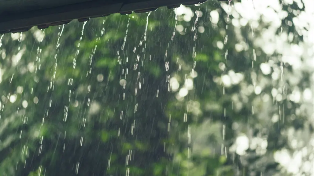 Zona de inestabilidad generará lluvias en Tamaulipas el resto de la semana: Protección Civil